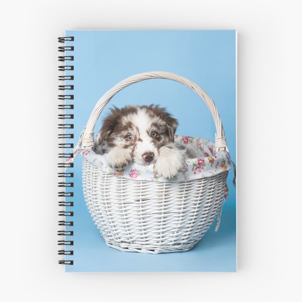 Item preview, Cute australian shepherd puppy in a basket designed and sold by PausePapote.