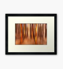 0539 Tree shades 2 Framed Print
