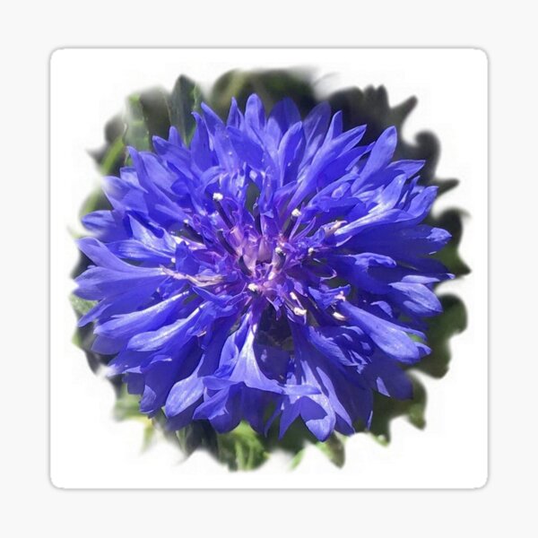 Item preview, Cute spring flower with Ultramrin petals by Iritof designed and sold by iritof.