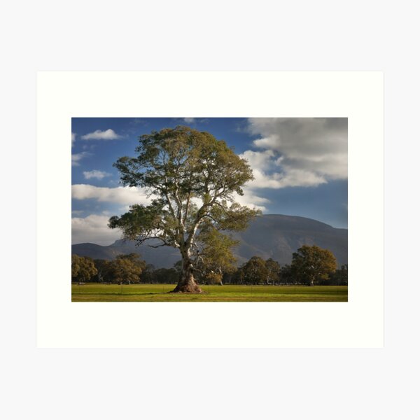 Item preview, 0542 Tall and proud - Grampians designed and sold by Hans Kawitzki.