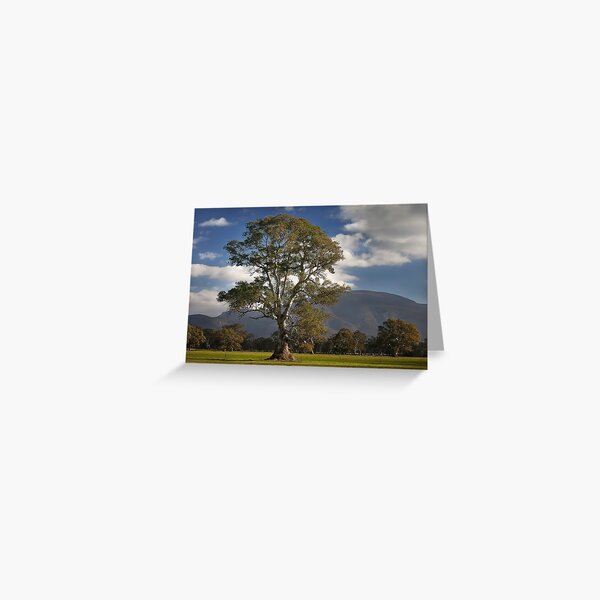 Item preview, 0542 Tall and proud - Grampians designed and sold by Hans Kawitzki.
