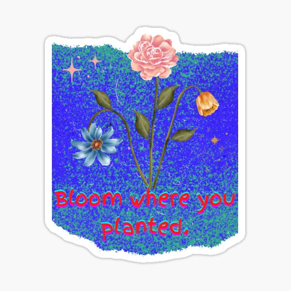 Bloom Where You Are Planted Wall Vinyl Wall Lettering - Wall Sticker Q –  Inspirational Wall Signs