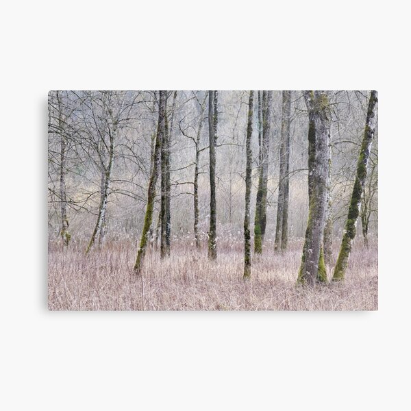 Metal Print