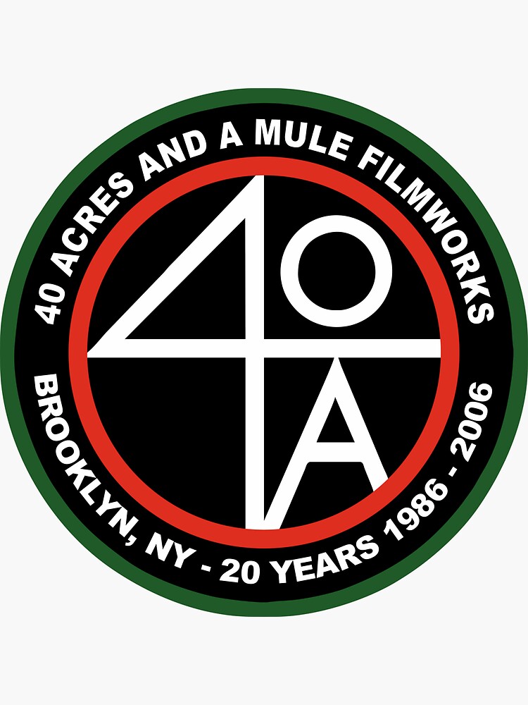 40 acres and a mule jordans