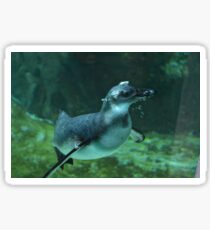 Swimming Penguin Sticker