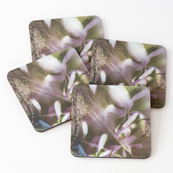Banksias, detail of larger Australian banksias, mixed media Coasters (Set of 4)
