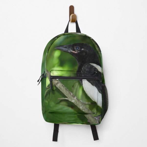 Item preview, Blue eyed Mag. Eurasian magpie designed and sold by Jouko Lehto Photography.