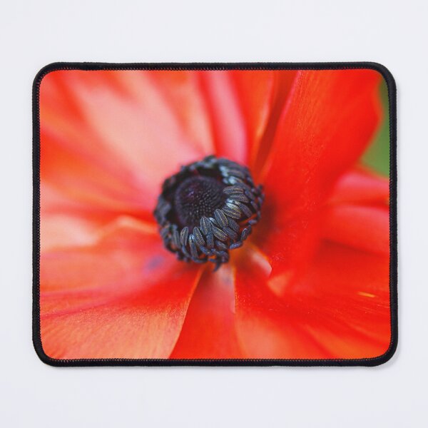 Item preview, Ranunculus Red Radiance designed and sold by Joy Watson - Natural Light Photography .