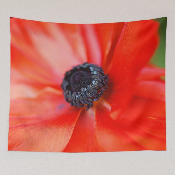 Item preview, Ranunculus Red Radiance  designed and sold by Joy Watson - Natural Light Photography .