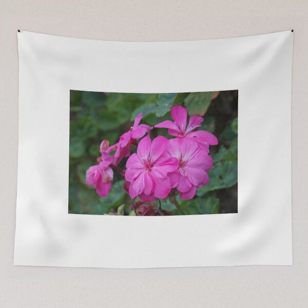 Item preview, Hydrangea designed and sold by Naomi80.