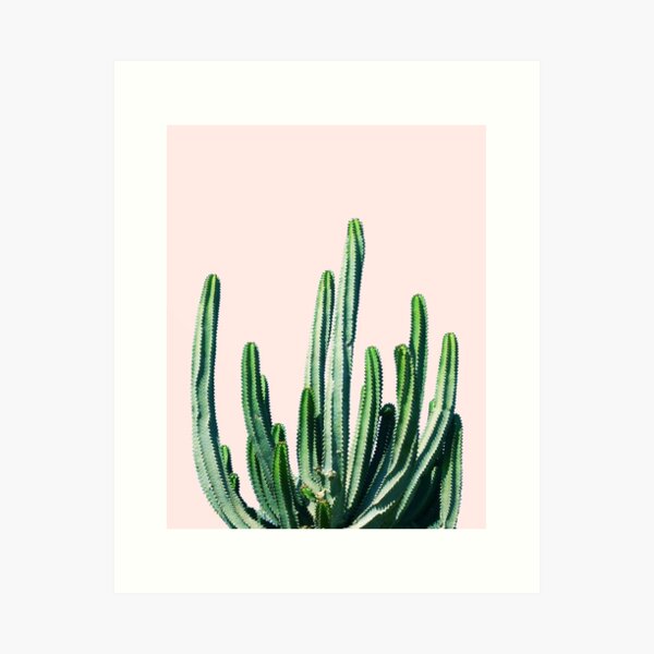 Cactus V6 | Pastel Botanical Exotic Plants | Minimal Scandinavian Nordic Nature Art Print