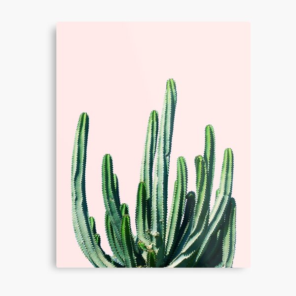 Cactus V6 | Pastel Botanical Exotic Plants | Minimal Scandinavian Nordic Nature Metal Print