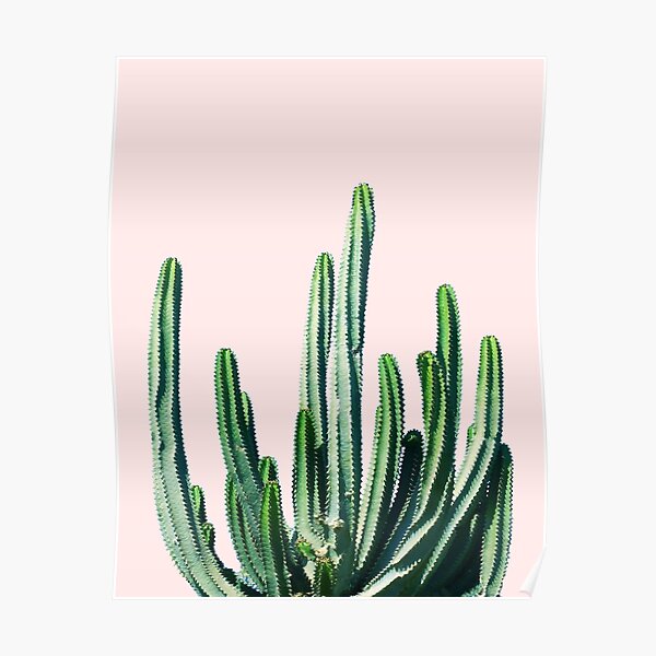 Cactus V6 | Pastel Botanical Exotic Plants | Minimal Scandinavian Nordic Nature Poster