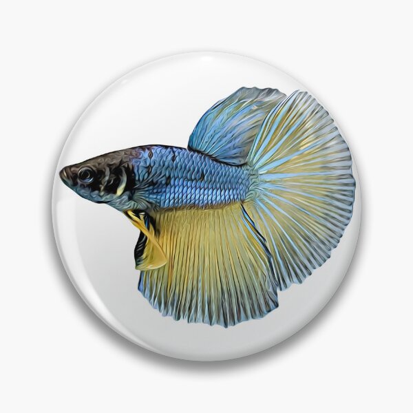 Item preview, Betta Fish are Popular Aquarium Fish designed and sold by eajob.