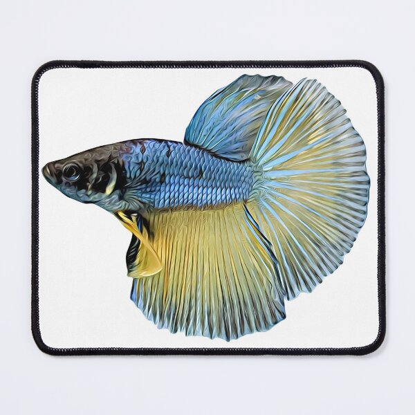 Item preview, Betta Fish are Popular Aquarium Fish designed and sold by eajob.