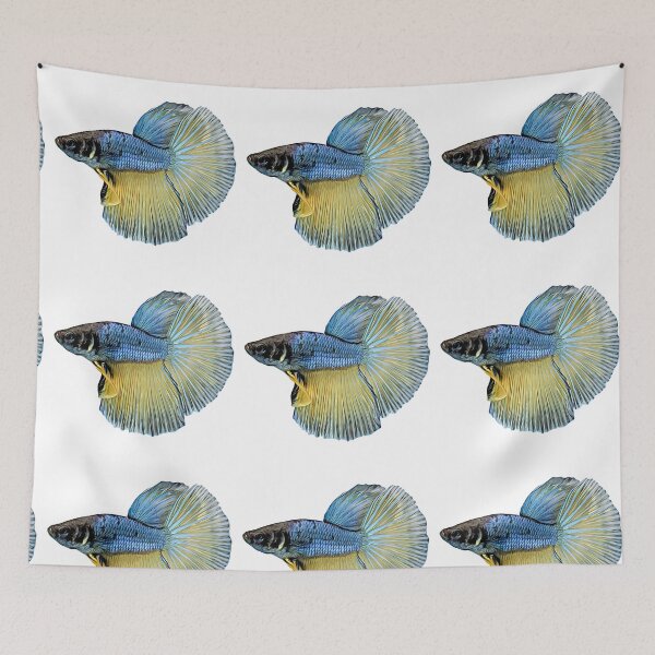 Item preview, Betta Fish are Popular Aquarium Fish designed and sold by eajob.