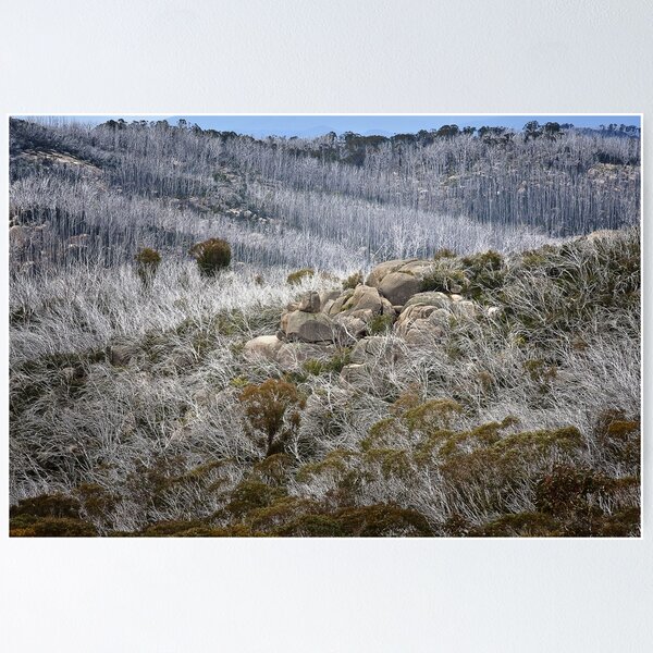 Item preview, 0567 Six years later - Mt Buffalo designed and sold by Hans Kawitzki.