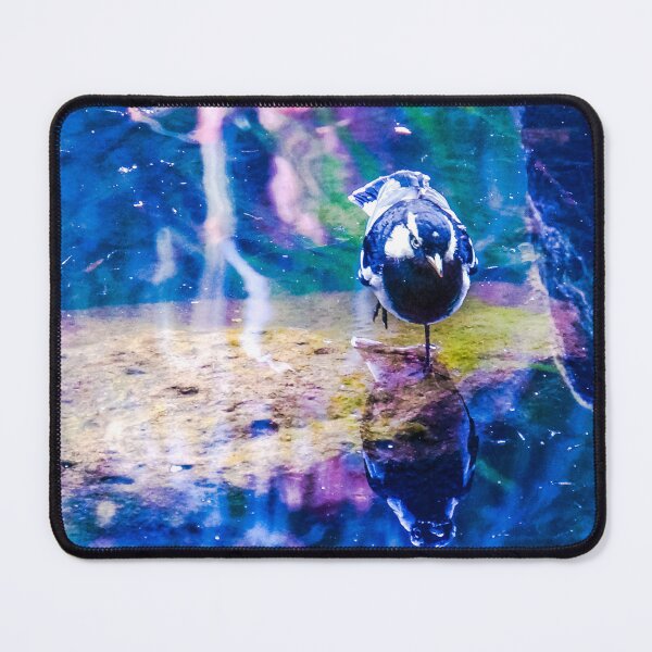 Item preview, Male Magpie Lark Stalking Tea designed and sold by Steven Jodoin.