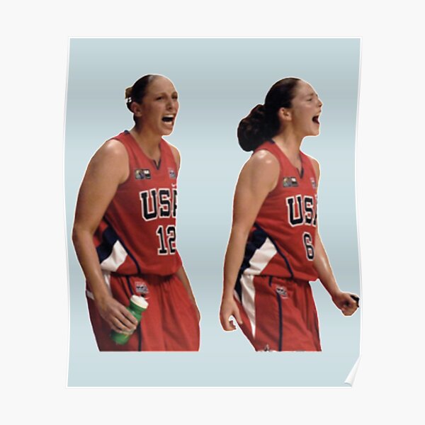 Sue Bird Trophy Case WNBA A Legendary Career Home Decor Poster