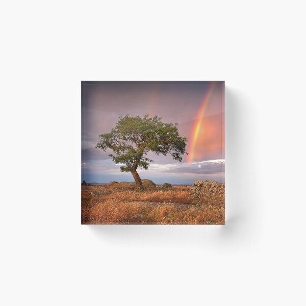 Item preview, 0573 Tree,rocks and rainbow - Dog Rocks designed and sold by Hans Kawitzki.