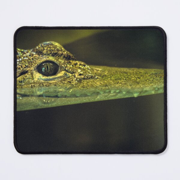 Item preview, It's a Croc! designed and sold by Steven Jodoin.