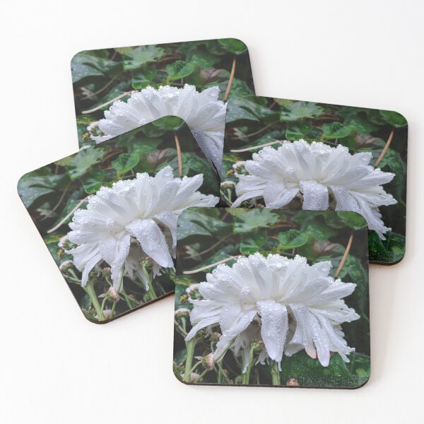Item preview, Dahlia Dreams, Old, Wrinkly but Still Gorgeous designed and sold by JonDelorme.