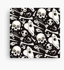 black Skulls and Bones - Wunderkammer Canvas Print