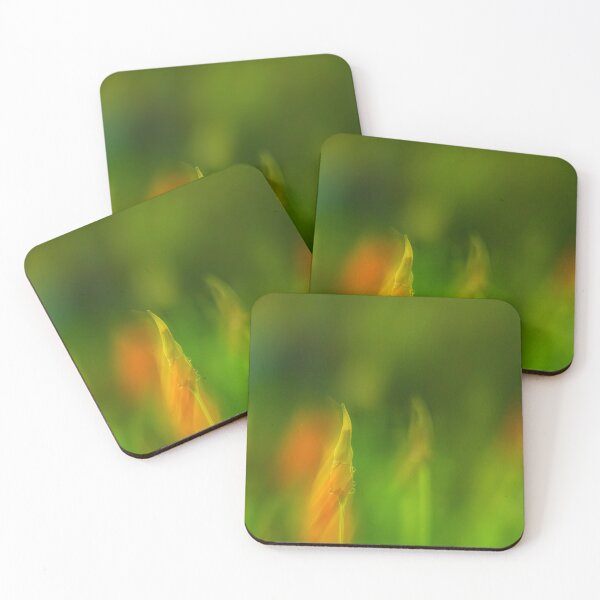 Item preview, California poppy 2 designed and sold by Veikko  Suikkanen.