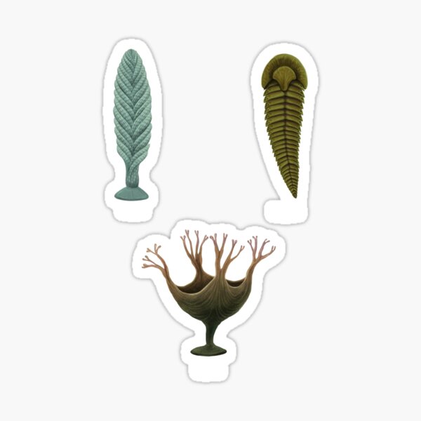Item preview, EDIACARAN organisms designed and sold by Mario Lanzas.