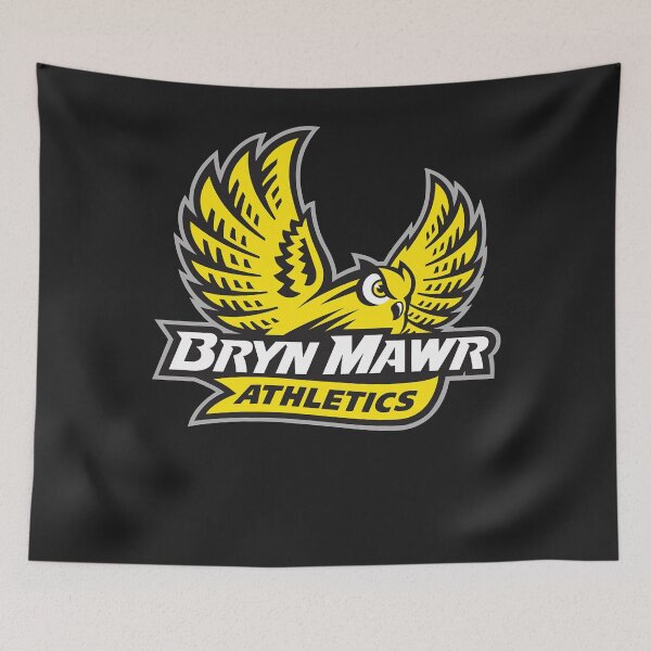 Item preview, The bryn mawr owls designed and sold by NabeelaJivraj.