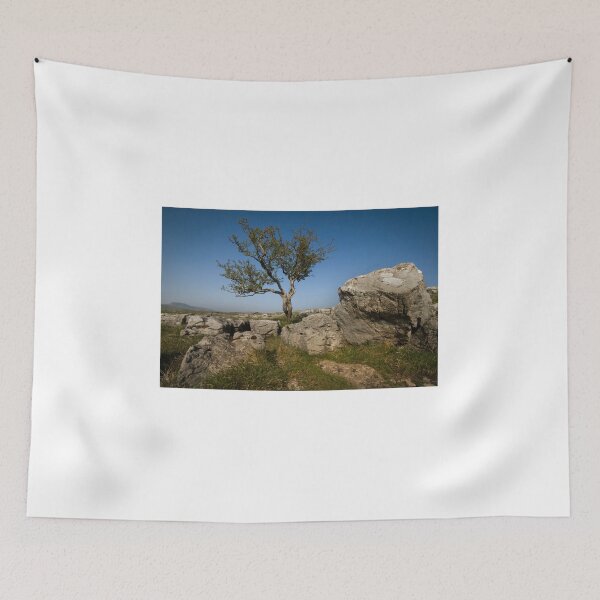 Item preview, Hawthorn tree in limestone rock designed and sold by eddiej.