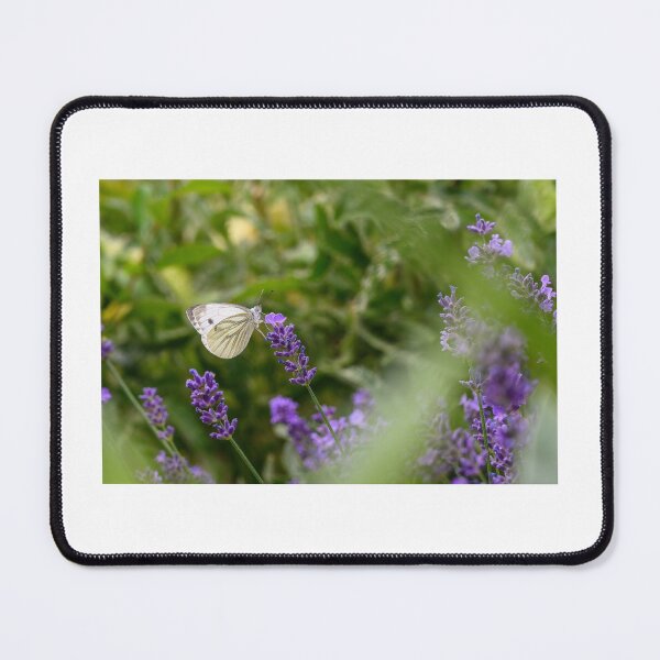 Item preview, BUTTERFLY on FLOWER designed and sold by BE-FOCUS.