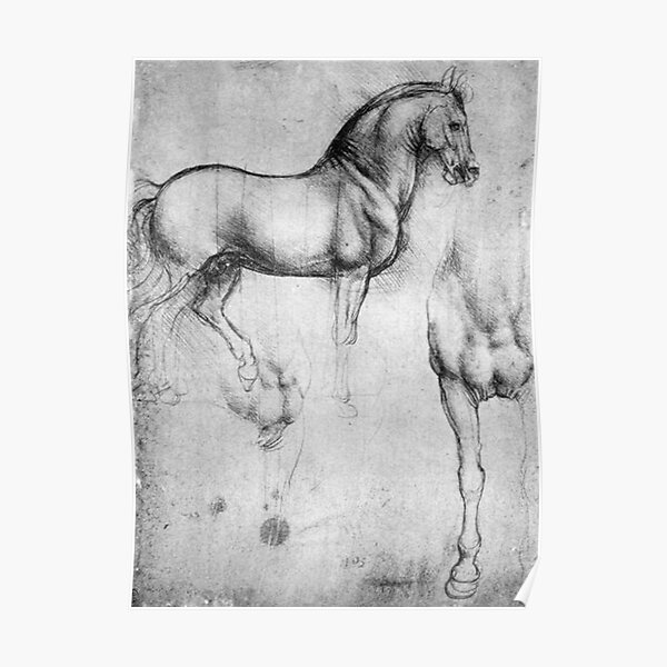 LEONARDO. Dibujo de CABALLO. Leonardo da Vinci. Estudio de caballos. Póster