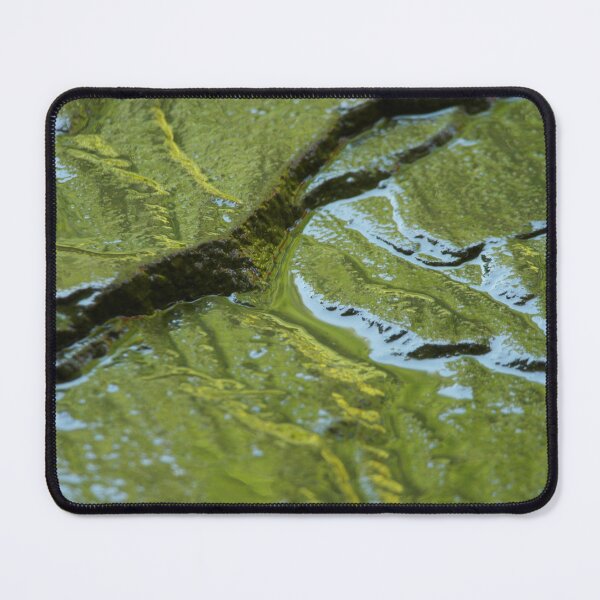 Item preview, Flagstone Texture designed and sold by Fay Freshwater.
