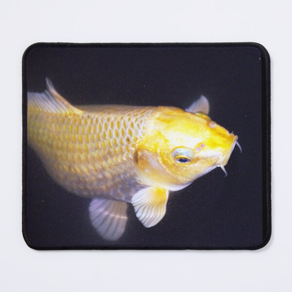 Item preview, Golden Lucky Koi Fish Feng Shui designed and sold by FengShuiLounge.