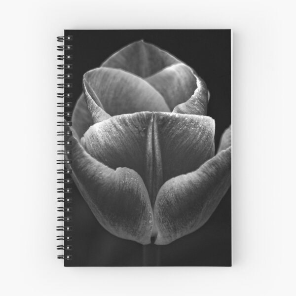 Item preview, Dark Flower designed and sold by AdamsGrandad.
