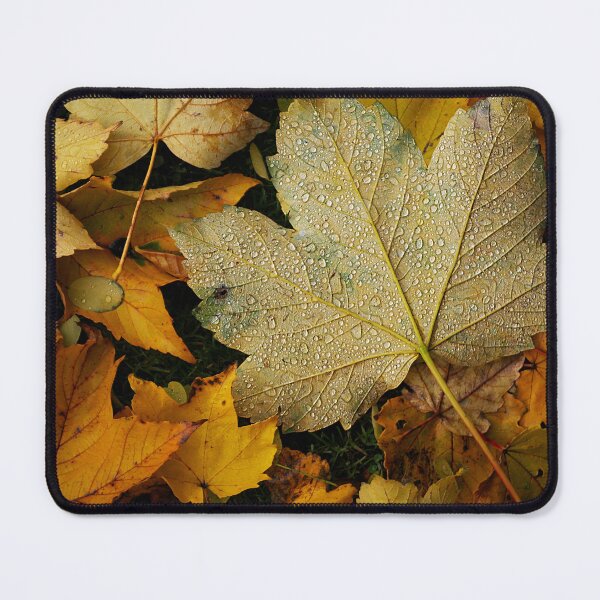 Item preview, Wet Autumns Day designed and sold by Fay Freshwater.