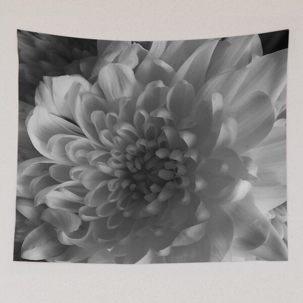 Item preview, Beautiful Chrysanthemum designed and sold by Bumpulous.