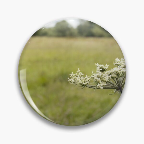 Item preview, Cow parsnip designed and sold by gailgriggs.