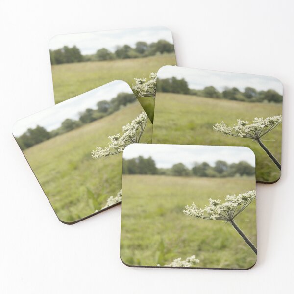 Item preview, Cow parsnip designed and sold by gailgriggs.