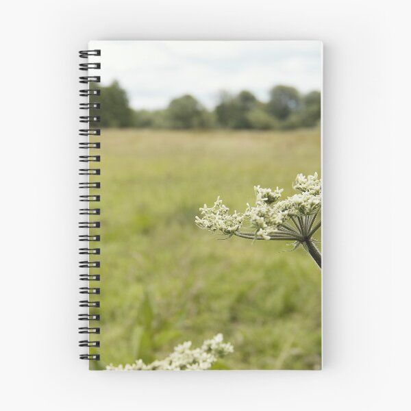Item preview, Cow parsnip designed and sold by gailgriggs.