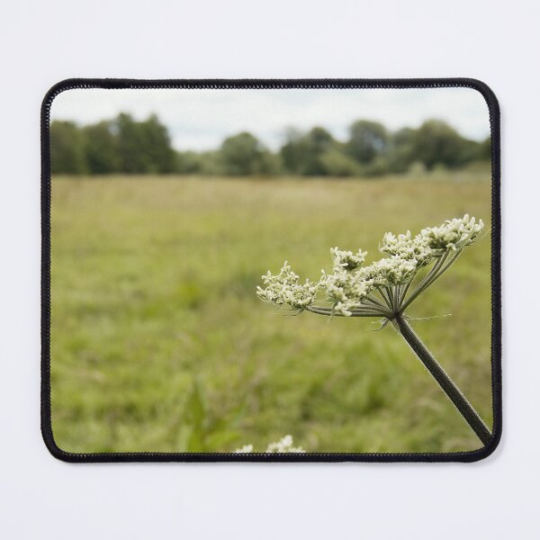 Item preview, Cow parsnip designed and sold by gailgriggs.
