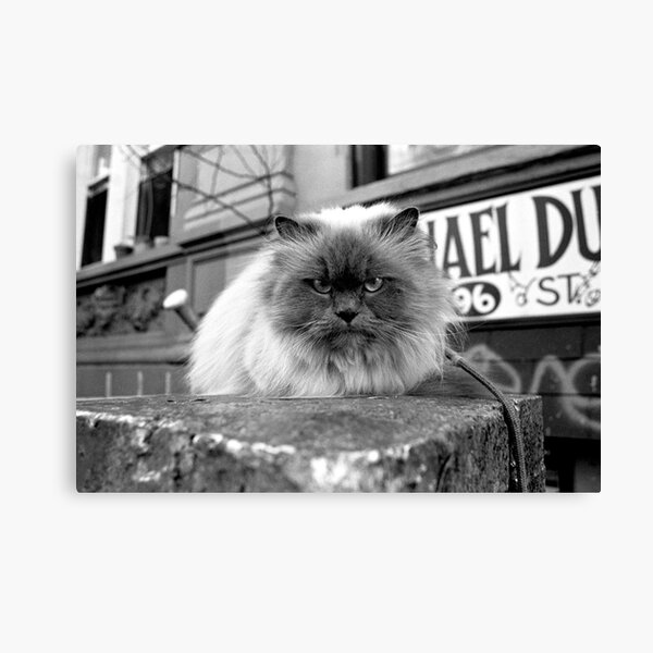 Item preview, Cat With Attitude designed and sold by docophoto.