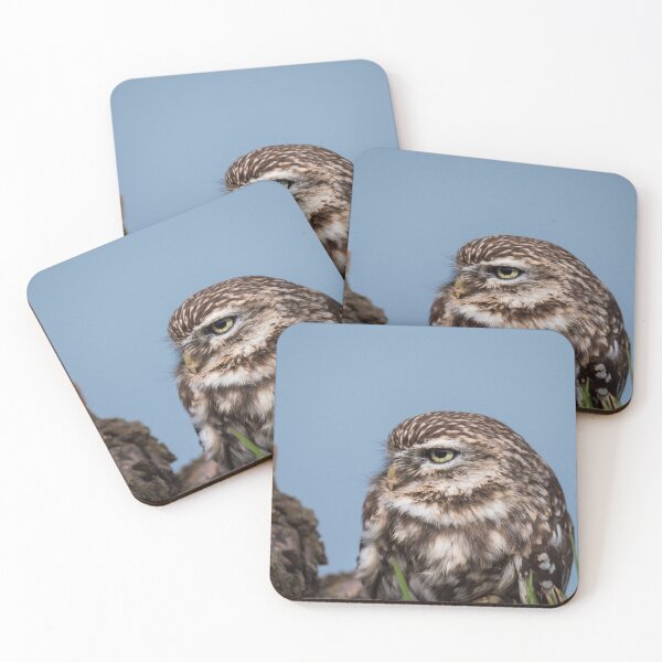 Item preview, Little owl perched on at tree trunk designed and sold by Dolfilms.