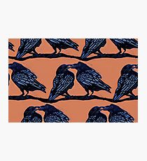 Orange Crows Photographic Print