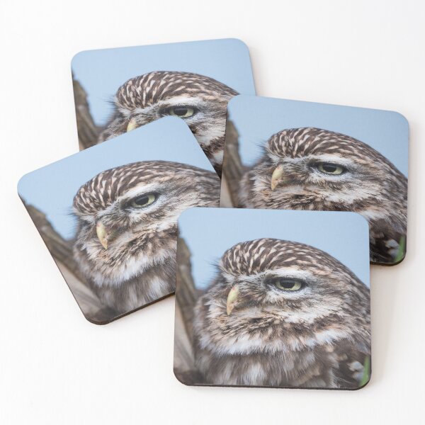 Item preview, Little owl perched on at tree trunk designed and sold by Dolfilms.