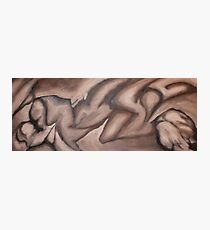 Forms In Motion Photographic Print