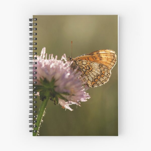 Artikelvorschau, Der Schmetterling auf der Blume entworfen und verkauft von Elżbieta  Kaps.