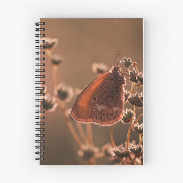 Item preview, Butterfly designed and sold by Elżbieta  Kaps.