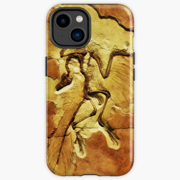 Archaeopteryx- The Berlin Specimen fossil in sandstone colour print iPhone Tough Case